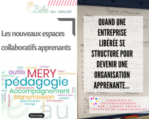 Bebe Au Naturel Grain S