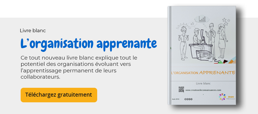 livre blanc organisation apprenante