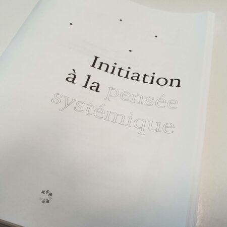 Pensée systémique