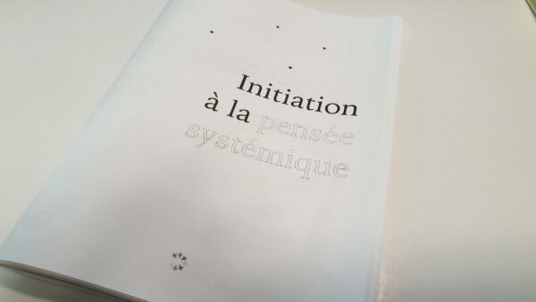 Pensée systémique